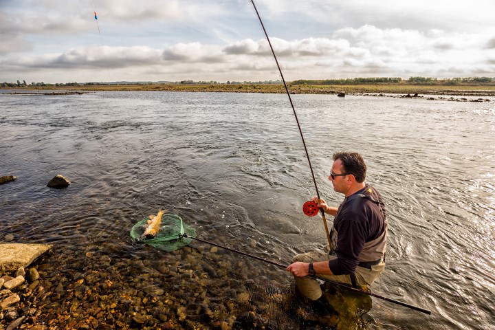 Barbeel op de centrepin