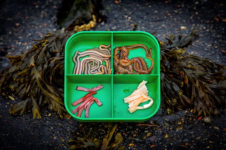 Verschillende soorten natuurlijk aas